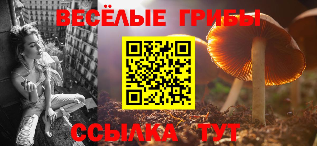 Псилоцибиновые грибы GOLDEN TEACHER  Вход с VPN  Нягань 
